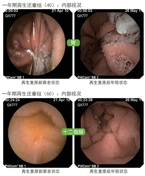Ggpoker官网-不凡成就非凡,相信品牌的力量