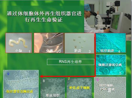 Ggpoker官网-不凡成就非凡,相信品牌的力量