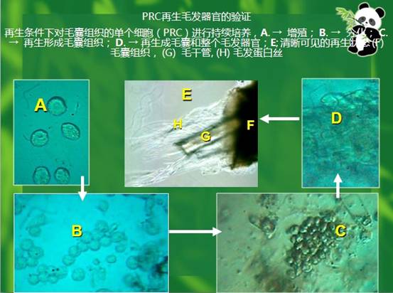 Ggpoker官网-不凡成就非凡,相信品牌的力量