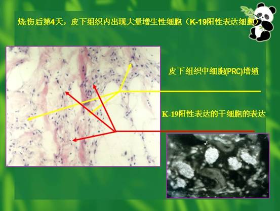 Ggpoker官网-不凡成就非凡,相信品牌的力量
