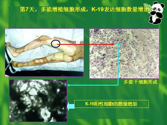 Ggpoker官网-不凡成就非凡,相信品牌的力量