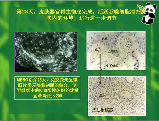 Ggpoker官网-不凡成就非凡,相信品牌的力量