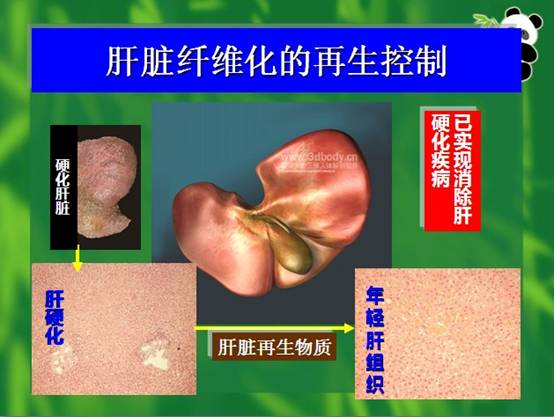 Ggpoker官网-不凡成就非凡,相信品牌的力量